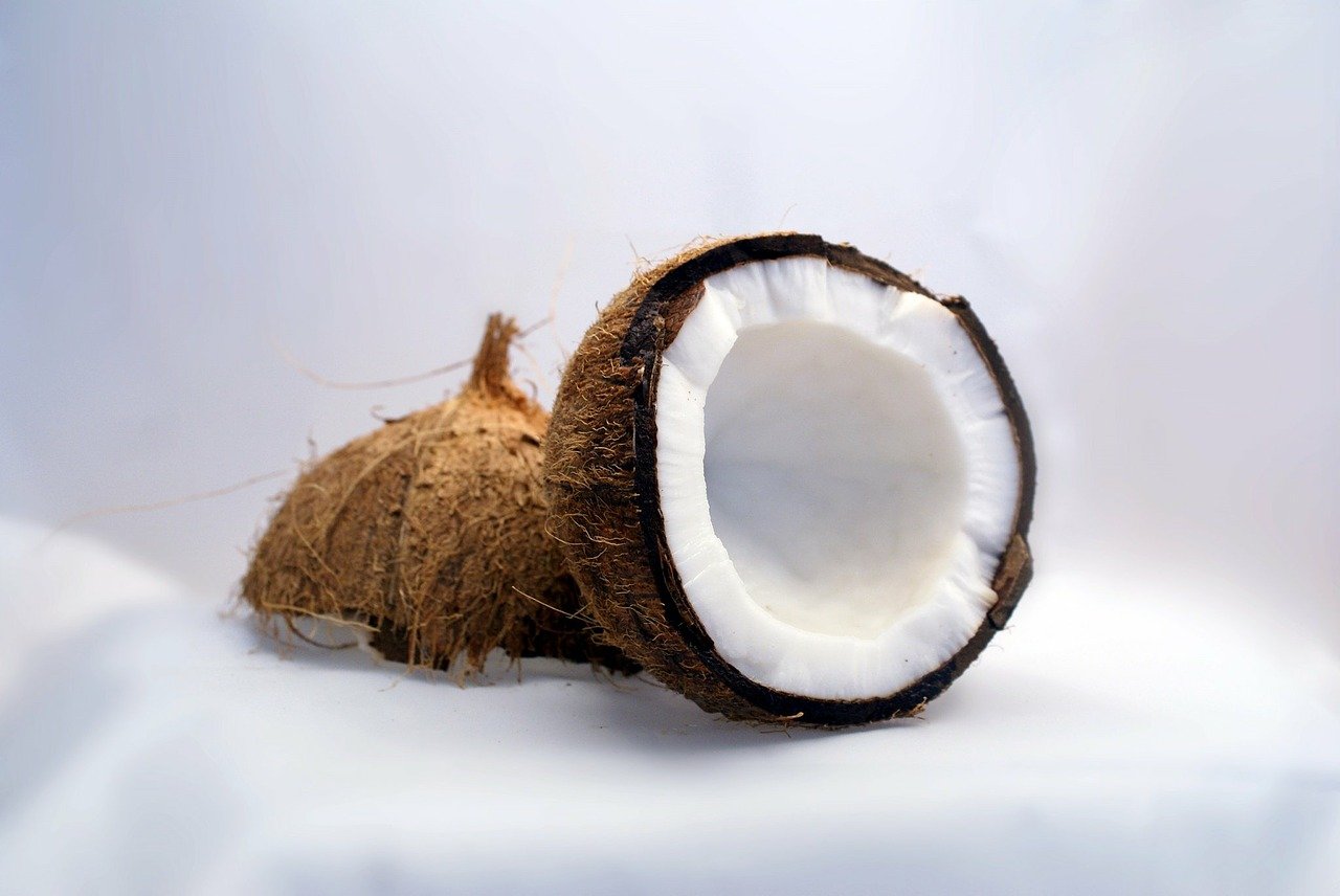 coconut, coconuts, exotic