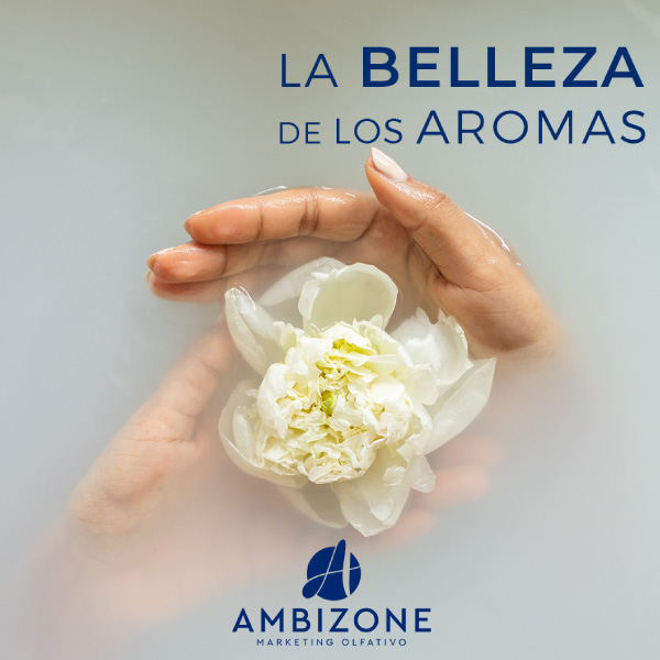 la-belleza-de-los-aromas